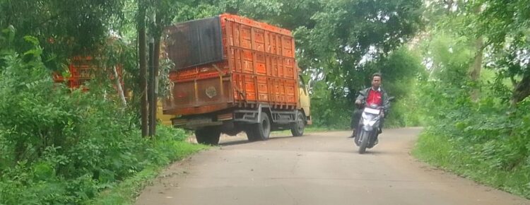 Kandang Ayam Menjadi Faktor Pencemaran Udara