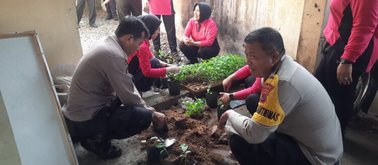 Polsek Kemangkon dan Bhayangkari Tanam Cabai Dukung Ketahanan Pangan