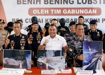 Bareskrim Polri : Gagalkan Penyelundupan 151 Ribu Benih Lobster di Perairan Bintan