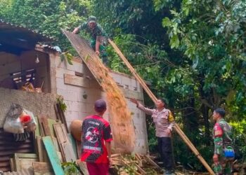 Polisi Bantu Evakuasi Pohon Tumbang di Kejobong