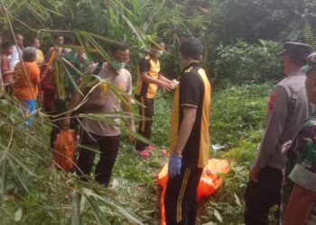 Tengkorak Manusia Ditemukan di Kebun Pinggir Sungai Desa Selabaya