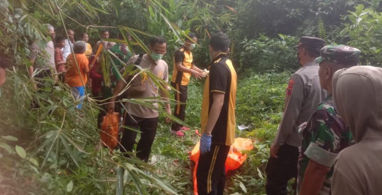 Tengkorak Manusia Ditemukan di Kebun Pinggir Sungai Desa Selabaya