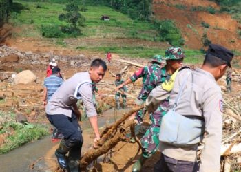 Longsor di Petungkriyono: Total Korban Meninggal 23 Orang, Pencarian Berlanjut