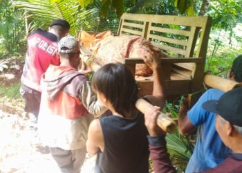 Lansia di Rembang Purbalingga Ditemukan Meninggal di Kebun