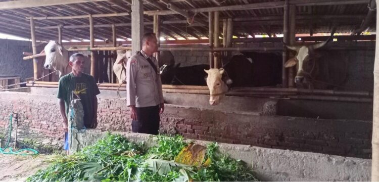 Antisipasi PMK, Bhabinkamtibmas Polsek Kemangkon Cek Hewan Ternak Warga