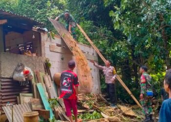 Polisi Bantu Evakuasi Pohon Tumbang di Kejobong