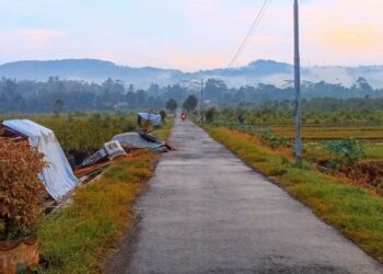 Puisi Dalam Pergulatan Malam, Oleh Widoyo Satmoko