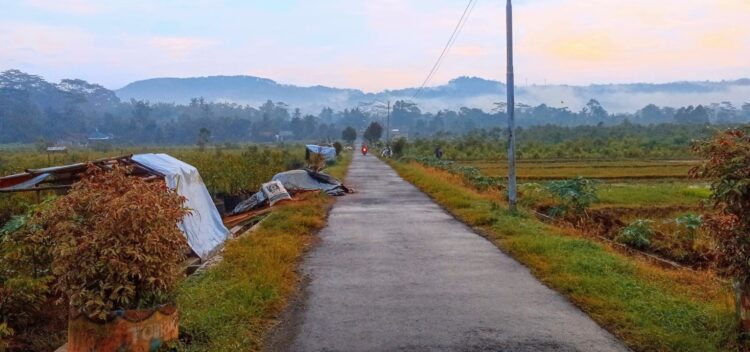 Puisi Dalam Pergulatan Malam, Oleh Widoyo Satmoko