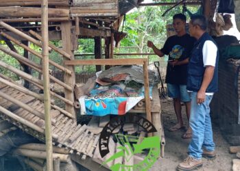 Anggaran Program Ketahanan Pangan Domba Diduga di Mark Up Oleh Kades Sidamulya Kecamatan Cipunagara Kab.Subang