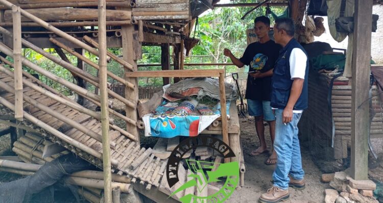 Anggaran Program Ketahanan Pangan Domba Diduga di Mark Up Oleh Kades Sidamulya Kecamatan Cipunagara Kab.Subang