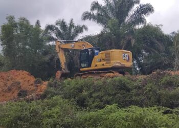 19 Thn Dirampas Untuk Negara Dalam Hal Ini Departemen Kehutanan; Diduga PT Torganda Mengelola Kawasan Hutan  Tanpa Izin