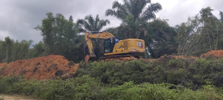 19 Thn Dirampas Untuk Negara Dalam Hal Ini Departemen Kehutanan; Diduga PT Torganda Mengelola Kawasan Hutan Tanpa Izin