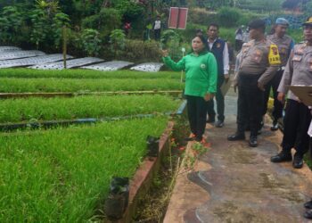 Polres PurbaIingga Bersama Dinas Pertanian Gelar Penilaian Lomba Pekarangan Pangan Bergizi