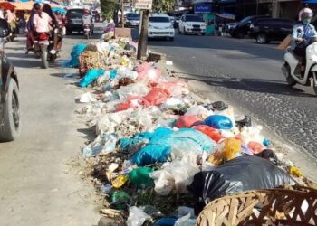 Ketua DPD LSM PKR-N Rokan Hilir Angkat Bicara Terkait Sampah Menumpuk di Sepanjang Trotoar Kota Bagan Batu