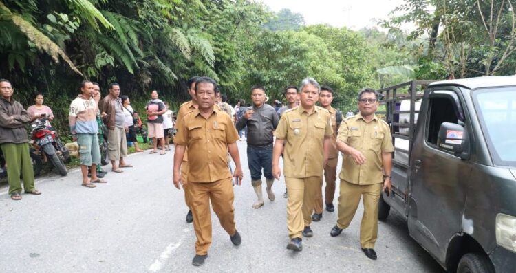 Wakil Bupati Taput Tinjau Lokasi Longsor Akibat Gempa