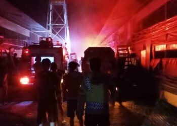 Kebakaran Gudang Dekat Kandang, Sebabkan Ribuan Ayam Mati di Kemangkon
