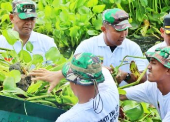 Menjaga Kebersihan dan Keindahan Danau Toba, TNI AD Bersama Masyarakat Gotong Royong Bersihkan Enceng Gondok
