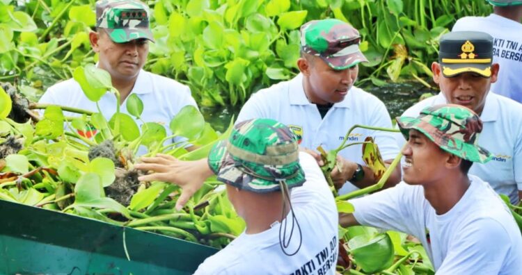 Menjaga Kebersihan dan Keindahan Danau Toba, TNI AD Bersama Masyarakat Gotong Royong Bersihkan Enceng Gondok