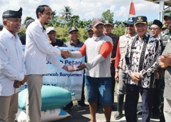 Bupati Sadewo Hadiri Panen Padi Serentak Bersama Presiden RI Secara Daring