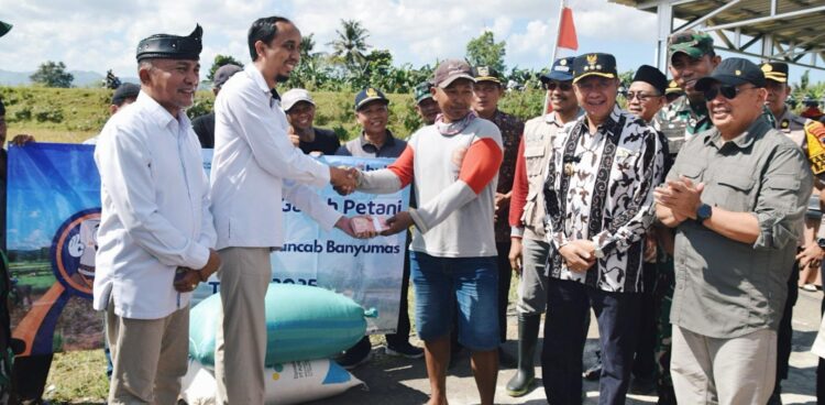 Bupati Sadewo Hadiri Panen Padi Serentak Bersama Presiden RI Secara Daring