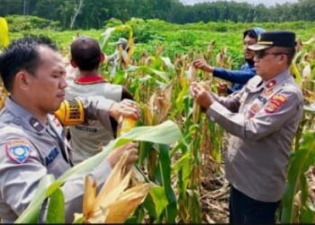 Polsek Banjar Agung Dukung Ketahanan Pangan