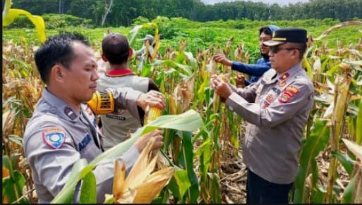 Polsek Banjar Agung Dukung Ketahanan Pangan