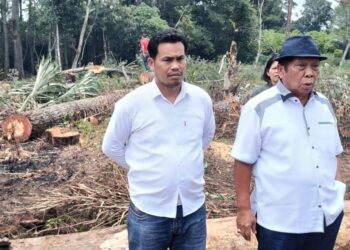 Kapolres Taput Bantah “Petieskan” LP Pengrusakan Kayu Pinus Dilahan Bersertifikat, Dalam Waktu Dekat Ditetapkan Tersangkanya