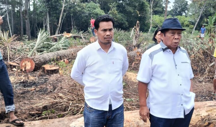 Kapolres Taput Bantah “Petieskan” LP Pengrusakan Kayu Pinus Dilahan Bersertifikat, Dalam Waktu Dekat Ditetapkan Tersangkanya