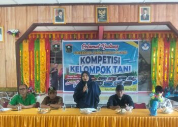 BPP Kecamatan X Koto Singkarak Gelar Kompetisi Kelompok Tani  Antar Kelompok Tani Senagari Koto  Sani di  Aula SMP 5 N Koto Singkarak