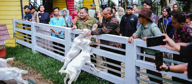 Wisata Provit Farm Village di Desa Ciberem Kecamatan Sumbang Banyumas Dibuka