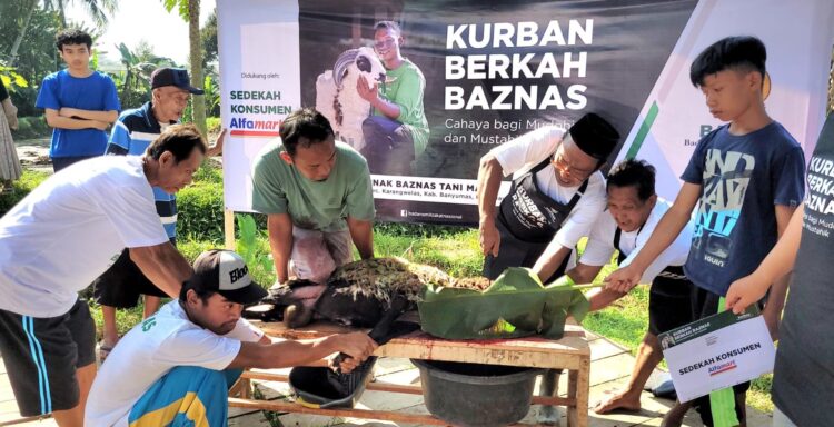 Baznas RI Sembelih 150 Hewan Kurban di Banyumas