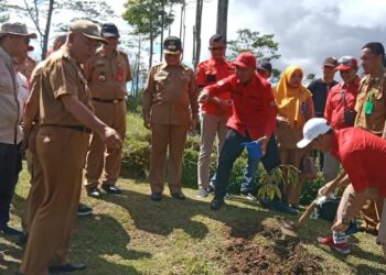 Mukhlis Basri Hibahkan Bibit Pohon Langka di Kebun Raya Liwa