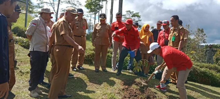 Mukhlis Basri Hibahkan Bibit Pohon Langka di Kebun Raya Liwa