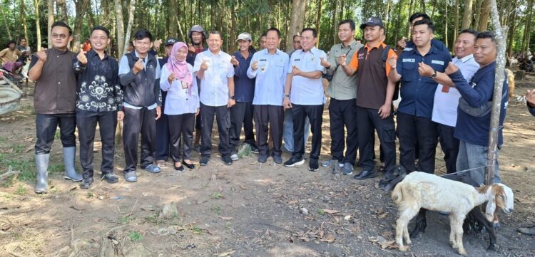 Bupati Tulang Bawang Kunjungi Pasar Hewan, Pastikan Ketersediaan Hewan Qurban