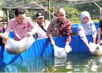 Bupati Sadewo Serahkan Bantuan Bibit Ikan dan Ternak, Dorong Ketahanan Pangan dan Ekonomi Lokal