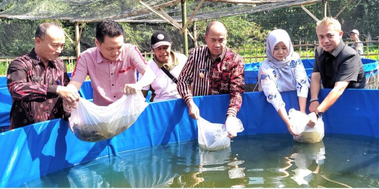 Bupati Sadewo Serahkan Bantuan Bibit Ikan dan Ternak, Dorong Ketahanan Pangan dan Ekonomi Lokal