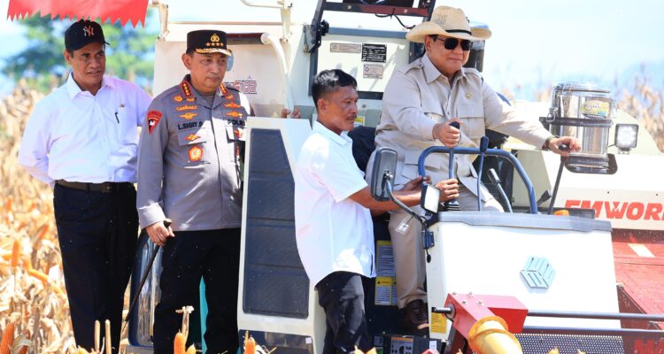 Presiden Prabowo Senang Panen Raya Jagung Inisiasi Polri Berhasil
