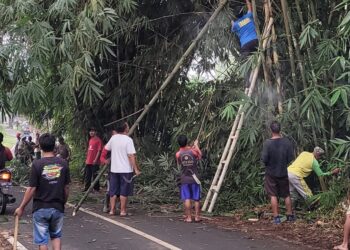 Sekda Bersama Warga Gotong Royong Tebang Pohon Yang Mengangu Akses Jalan