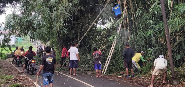Sekda Bersama Warga Gotong Royong Tebang Pohon Yang Mengangu Akses Jalan