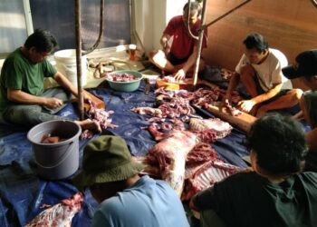 Panitia Kurban Masjid Jami’ Almuqorrobiin Potong 2 Ekor Sapi & 6 Ekor Kambing, Kampung Tanah Koja Jatinegara Kaum Klender