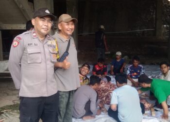 Yayasan Alkahfi dalam menyambut Hari Raya Idul Adha mengdakan Kurban Hewan