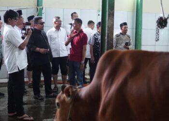 Kang Rey Dan Kang Akur Saksikan Penyembelihan Sapi Bantuan Presiden