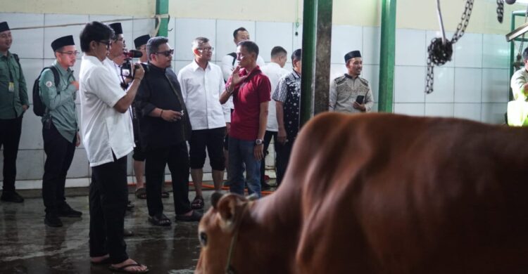 Kang Rey Dan Kang Akur Saksikan Penyembelihan Sapi Bantuan Presiden
