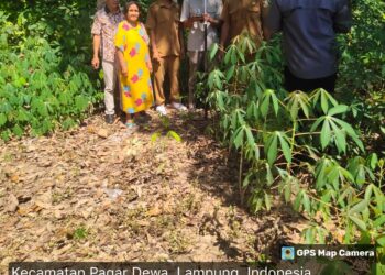 Kantah ATR/BPN Tulang Bawang Barat Berikan Pelayanan Cepat dan Humanis