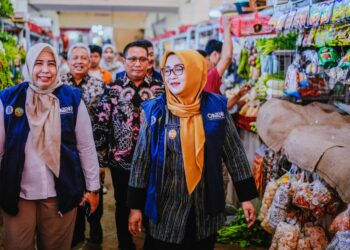Wakil Bupati Banyumas Lintarti Monitoring Harga dan Stok Bapokting di Pasar Manis