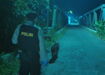 Polres Purbalingga Terjunkan Anjing Pelacak Bantu Penyelidikan di Lokasi Penemuan Mayat