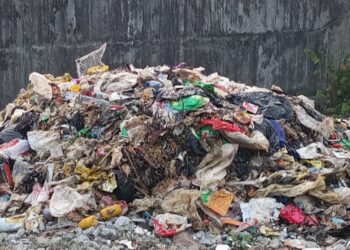 Oknum DLH Membuang Sampah di Kampung Lengis Ciadeg Cigombong, Alasan Sopir Kepala UPT Minta Setoran