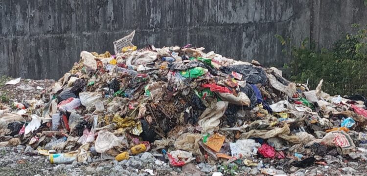 Oknum DLH Membuang Sampah di Kampung Lengis Ciadeg Cigombong, Alasan Sopir Kepala UPT Minta Setoran