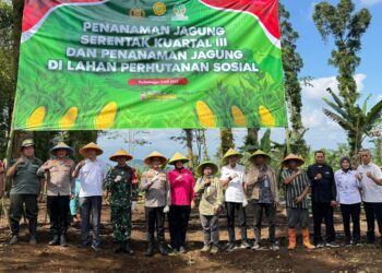 Polres Purbalingga Tanam Jagung Serentak Kuartal III di Lahan Perhutanan Sosial Seluas 10 Hektare