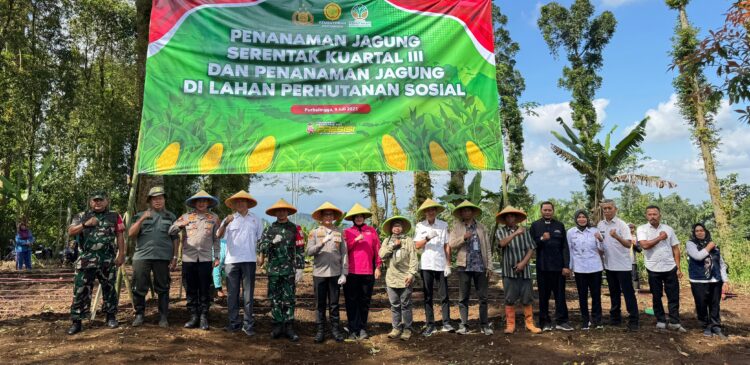 Polres Purbalingga Tanam Jagung Serentak Kuartal III di Lahan Perhutanan Sosial Seluas 10 Hektare